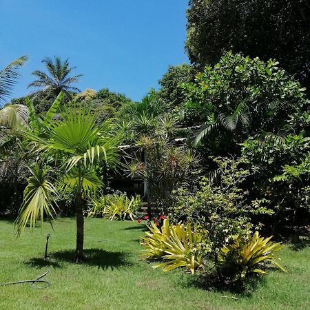 Privacidade, Sossego E Axe Em Taipu De Fora Barra Grande Kültér fotó